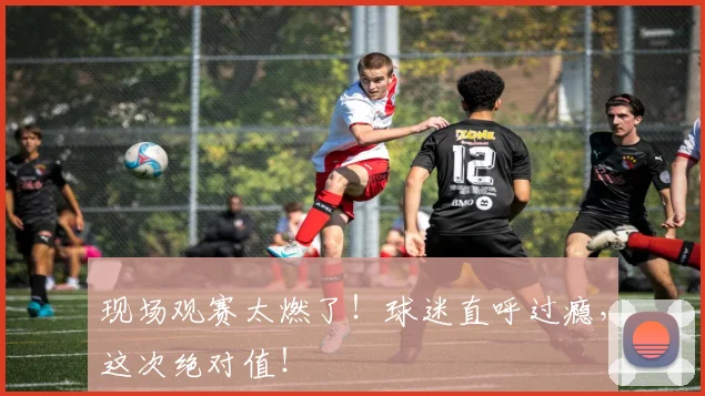 现场观赛太燃了!球迷直呼过瘾,这次绝对值!