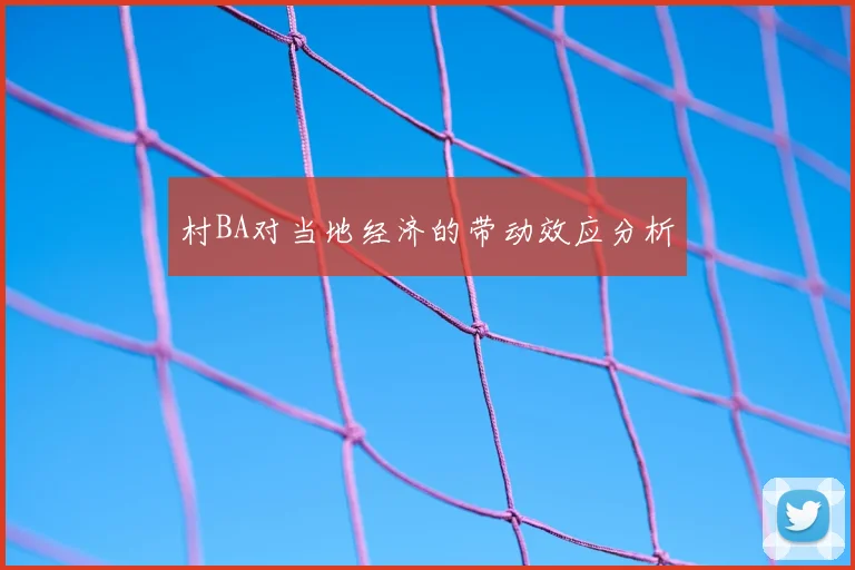 村BA对当地经济的带动效应分析