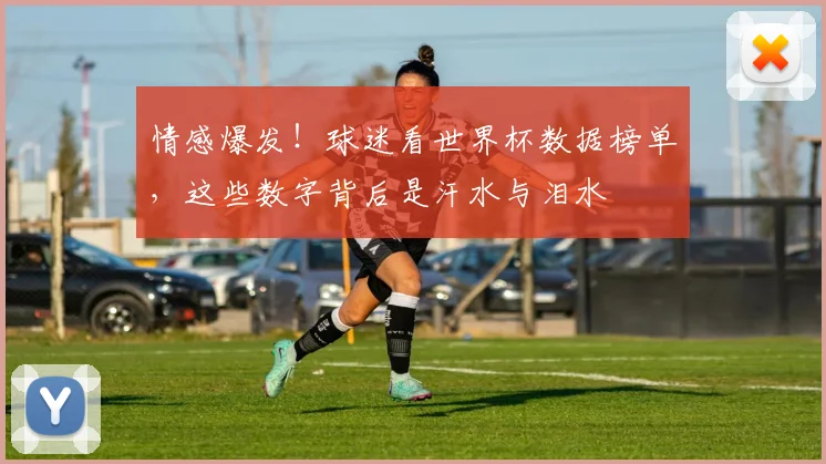 情感爆发!球迷看世界杯数据榜单,这些数字背后是汗水与泪水