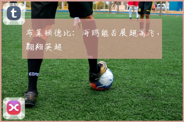 布莱顿德比:海鸥能否展翅高飞,翱翔英超